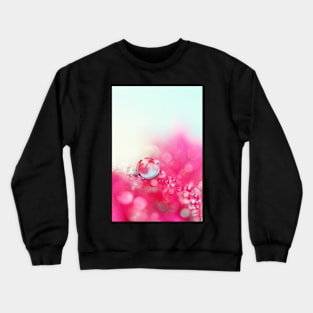 A Drop with Raspberrys and Cream Crewneck Sweatshirt